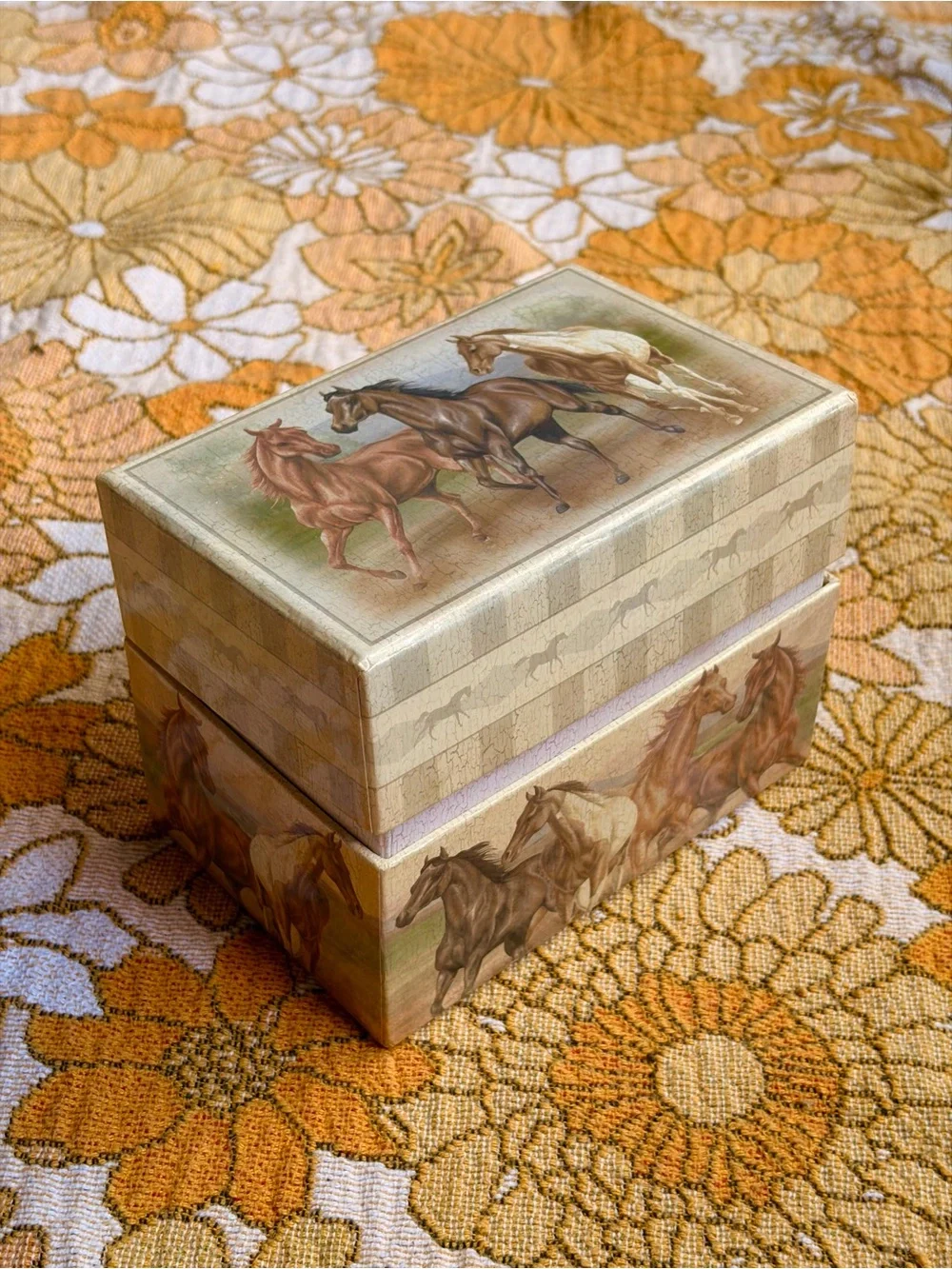 🐎🌾✨ Vintage Y2K Horse Recipe Box ✨🌾🐎